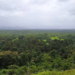 tarandale - kankavli (4)