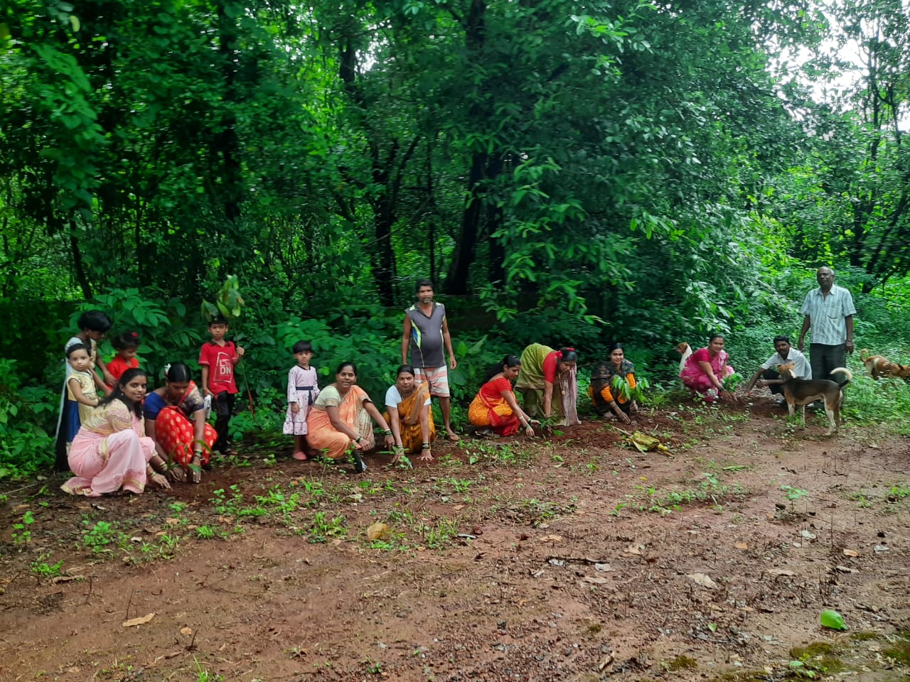 वृक्षारोपण उपक्रम