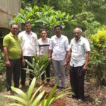 वृक्षारोपण